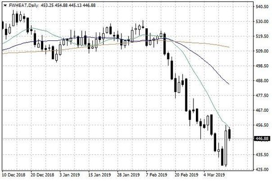 Notowania pszenicy w USA – dane dzienne
