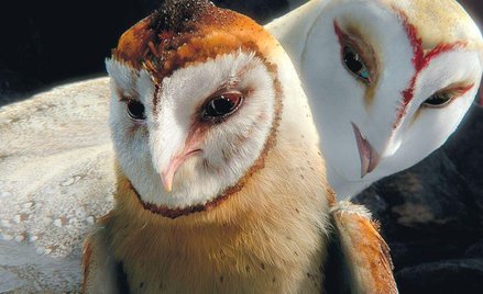 20.00 | CINEMAX | SOBOTA