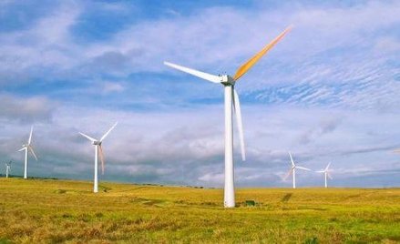 Spadek zysków Polenergii