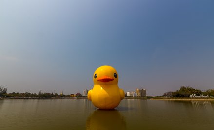 The Guardian: Skazany za kalendarz z kaczkami