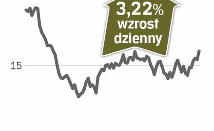 Sprzedaż w Brazylii poczeka