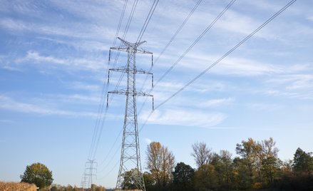 Kluczowy wskaźnik dla spółek dystrybucyjnych może spaść