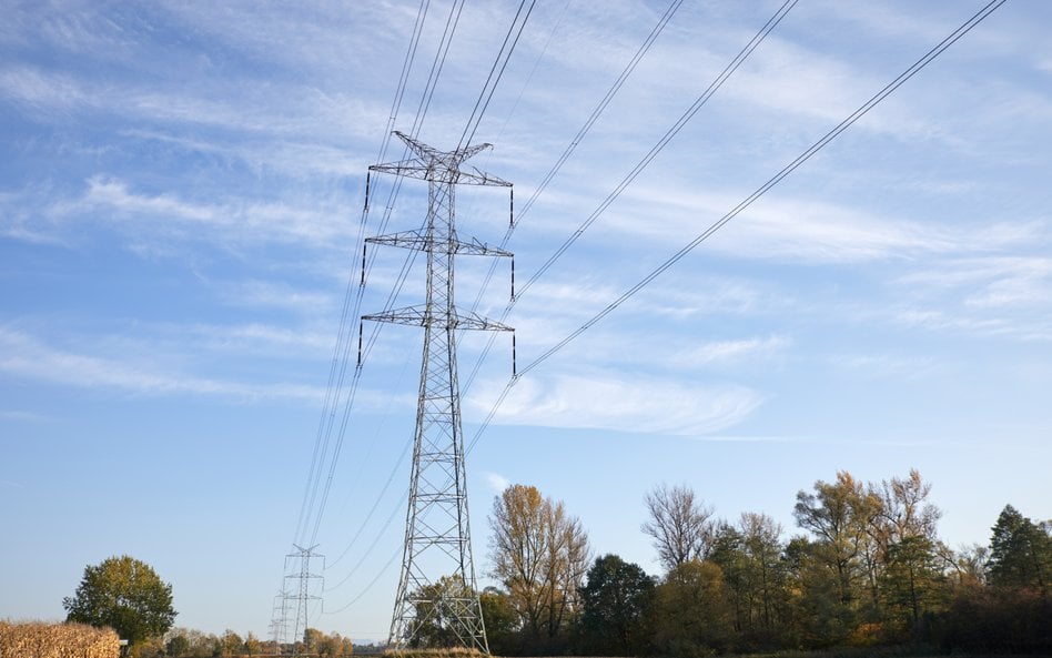 Kluczowy wskaźnik dla spółek dystrybucyjnych może spaść