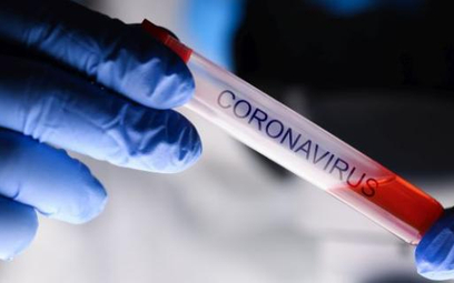 Hemp&Wood dystrybutorem testów na koronawirusa