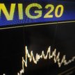 WIG20 zakończył dzień wzrostem o 0,23 proc. na poziomie 2460,96 punktów
