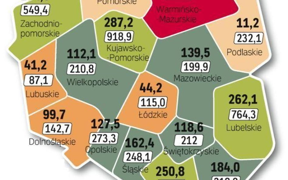 Będą wielkie remonty dróg, na wszystkie nie starczy pieniędzy