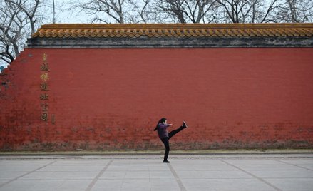 Grzegorz W. Kołodko: Wejście smoka – otwarcie na Chiny czy sinofobia?