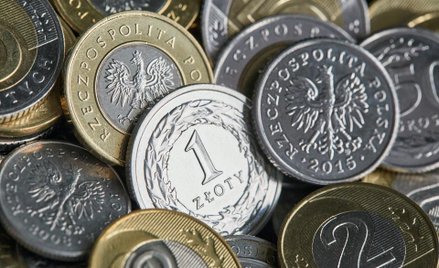 Jest dywidenda w Monnari