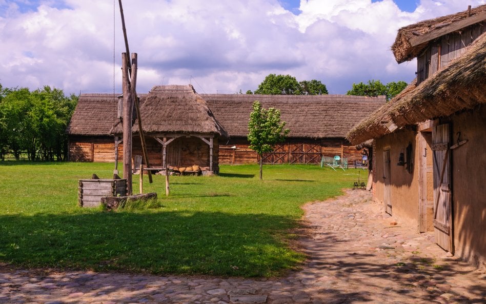 Muzeum Wsi Mazowieckiej w Sierpcu już 6 lipca zaprasza na „Miodobranie w skansenie”