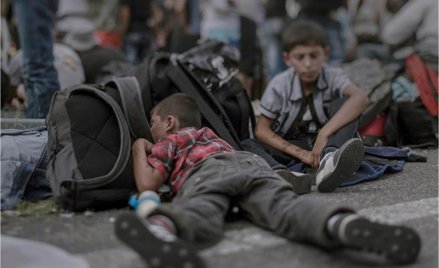 Magnus Wennman, Tam, gdzie śpią dzieci, Wystawa Displaced