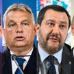 "Gdy Morawiecki, Orban i Salvini rozmawiają, Putin się cieszy"