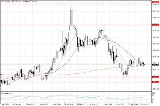 Notowania złota – dane dzienne
