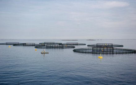 Farma hodowlana łososi należąca do firmy Salmar ASA na norweskiej wyspie Froya