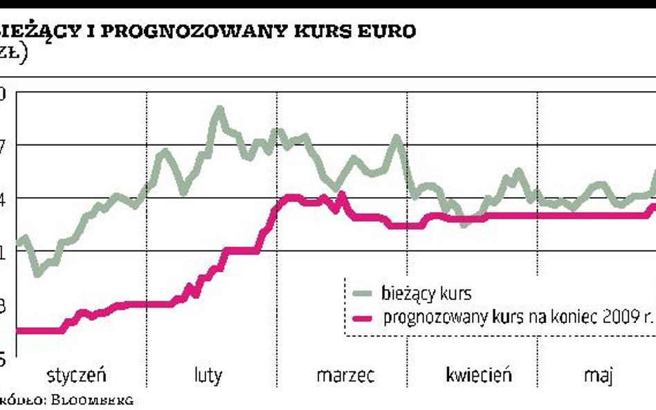 Analitycy zagranicznych banków nie liczą na aprecjację złotego