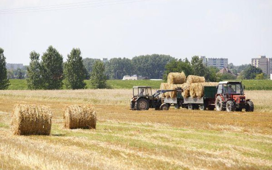 Coraz częściej na polskich polach można spotkać Ukraińców.