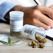 Marihuana w Polsce bardziej dostępna