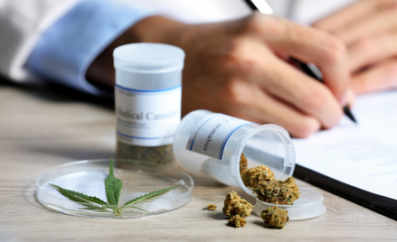 Marihuana w Polsce bardziej dostępna
