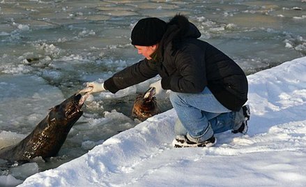 Wolontariusze w zoo są potrzebni, choć na początku trzeba ich pilnować