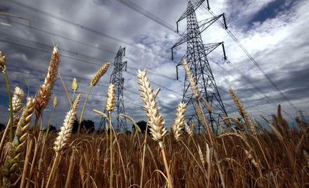 CEZ rozważa arbitraż w Albanii