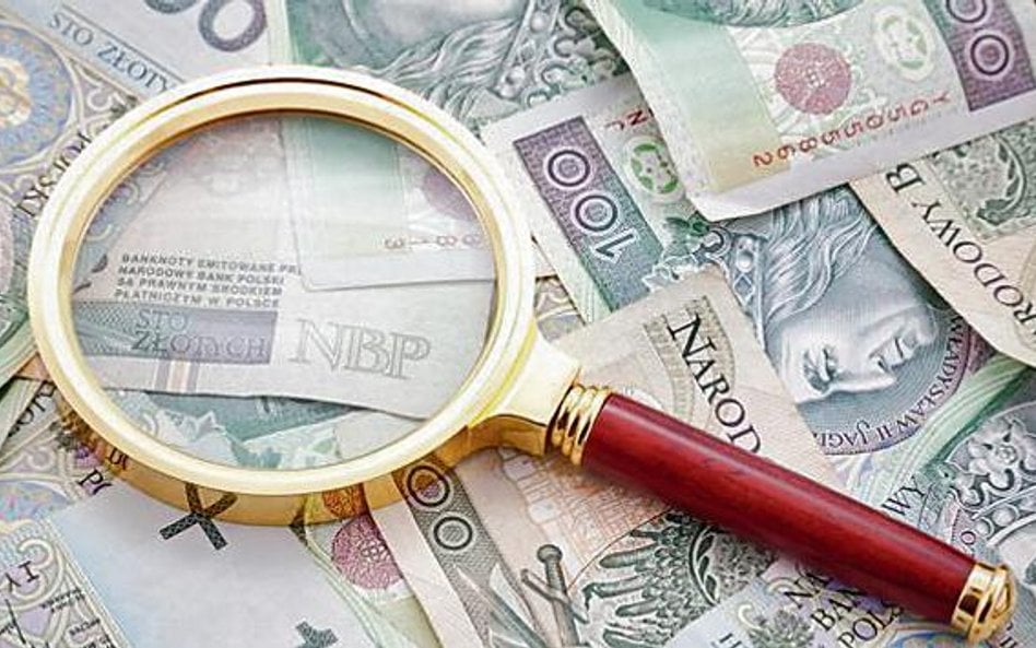 Rządowi prawnicy o projekcie upubliczniania danych o dochodach dużych firm