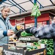 Krajowe rynki spożywcze mają w przyszłości dołączyć do holdingu