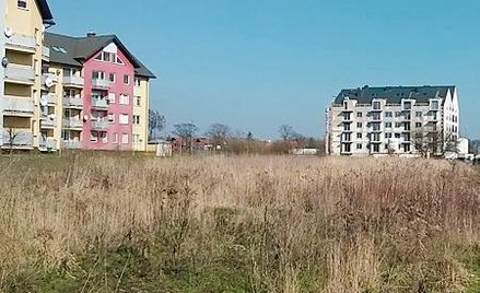 Rynek pierwotny: nowe projekty deweloperskie