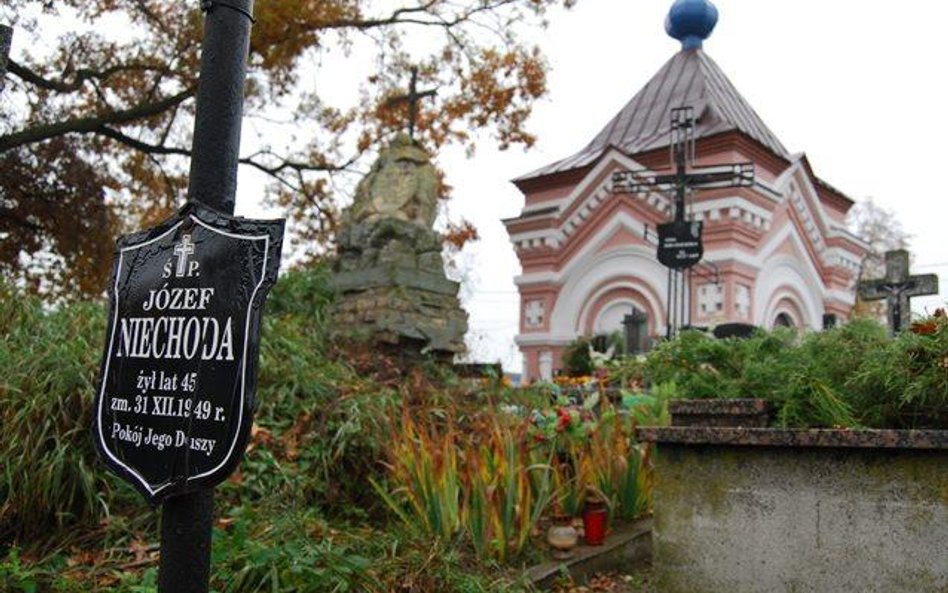 Miejsce domniemanego pochówku Józefa Niechody