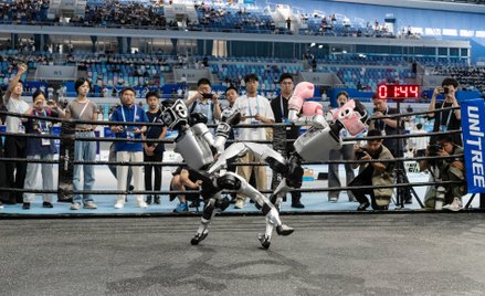 Na ringu roboty walczą nie mniej zaciekle jak ludzie, a nie mają siniaków. Po wywrotce wstają i dale