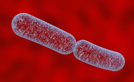 Naukowcy wieszczą nadejście ery postantybiotykowej, w której bakterie będą niewrażliwe na leki