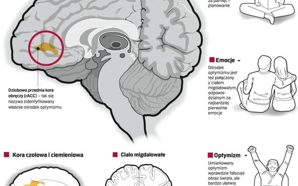 Optymistyczne neurony, czyli różowe okulary mózgu