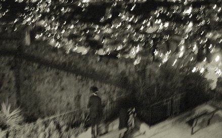 Anat Fort Birdwatching