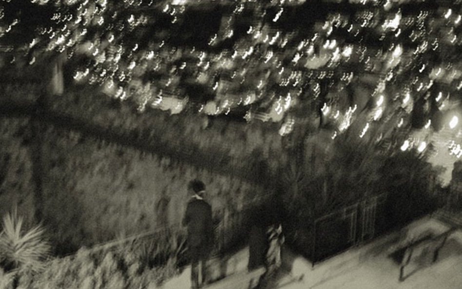 Anat Fort Birdwatching