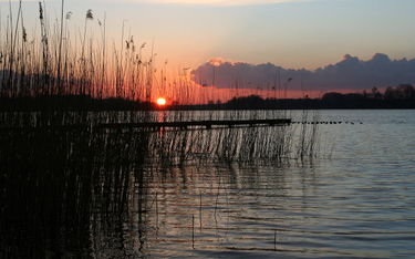 Jezioro Osiek w okolicach Dobiegniewa (Lubuskie)