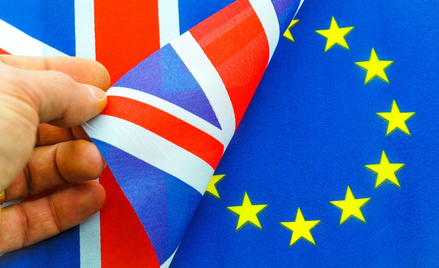 "Brexit dotknie polskich emigrantów"