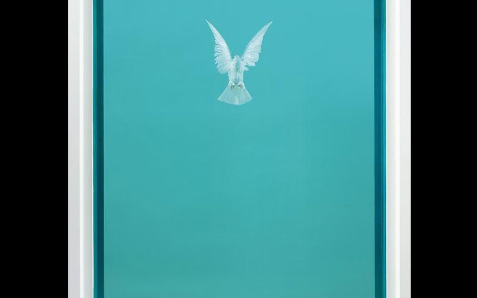 Damien Hirst, "The Incomplete Truth"