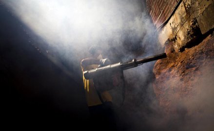Obecność drobnoustroju Zika stwierdzono już w 30 krajach obu Ameryk.