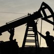 Rosneft dowiercił się do ropy