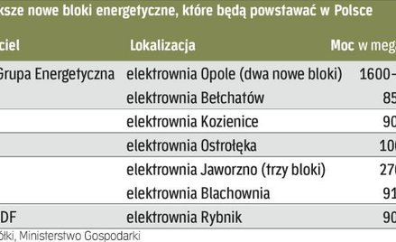 Planowane inwestycje polskich firm energetycznych