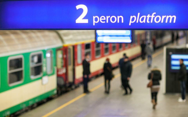 PiS zabetonuje kolejowy monopol?