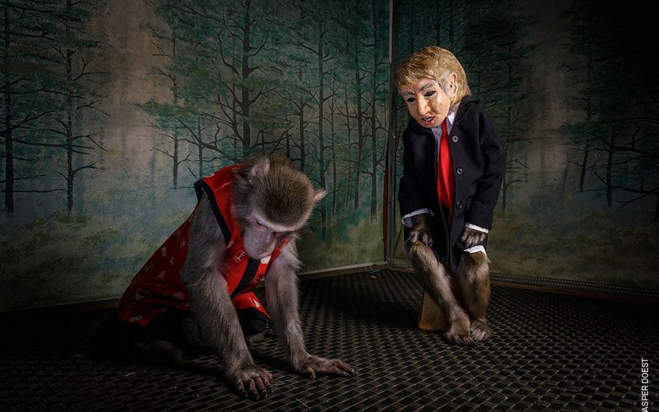 Jasper Doest, "Sacred No More"