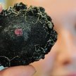 Konkrecje to niepozorne skały na dnie mórz i oceanów zawierające w sobie m.in. miedź, nikiel, mangan