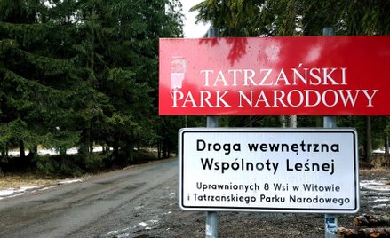 TPN uspokaja: wycinka w Dolinie Chochołowskiej kontrolowana i uzgodniona z dyrekcją parku