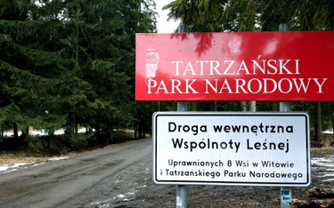 TPN uspokaja: wycinka w Dolinie Chochołowskiej kontrolowana i uzgodniona z dyrekcją parku