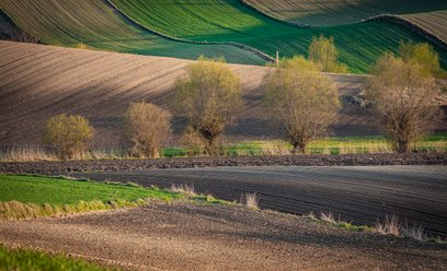 Pruski przepis zadecydował o sukcesie Wielkopolski. Skutki widać do dziś