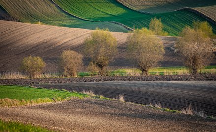 Nadchodzą zmiany w pogodzie. Możliwe większe zachmurzenie, deszcze, a nawet burze
