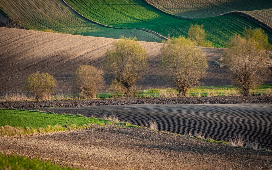 Nadchodzą zmiany w pogodzie. Możliwe większe zachmurzenie, deszcze, a nawet burze