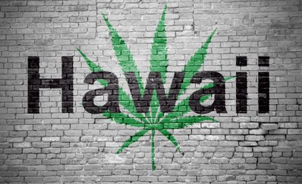Legalna marihuana na Hawajach