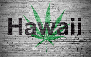 Legalna marihuana na Hawajach
