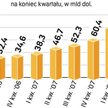 Na koniec 2008 r. dług wzrósł z powodu słabego złotego. Ekonomiści uspokajają, że na razie nie ma po