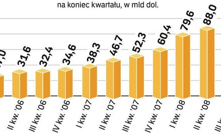 Na koniec 2008 r. dług wzrósł z powodu słabego złotego. Ekonomiści uspokajają, że na razie nie ma po